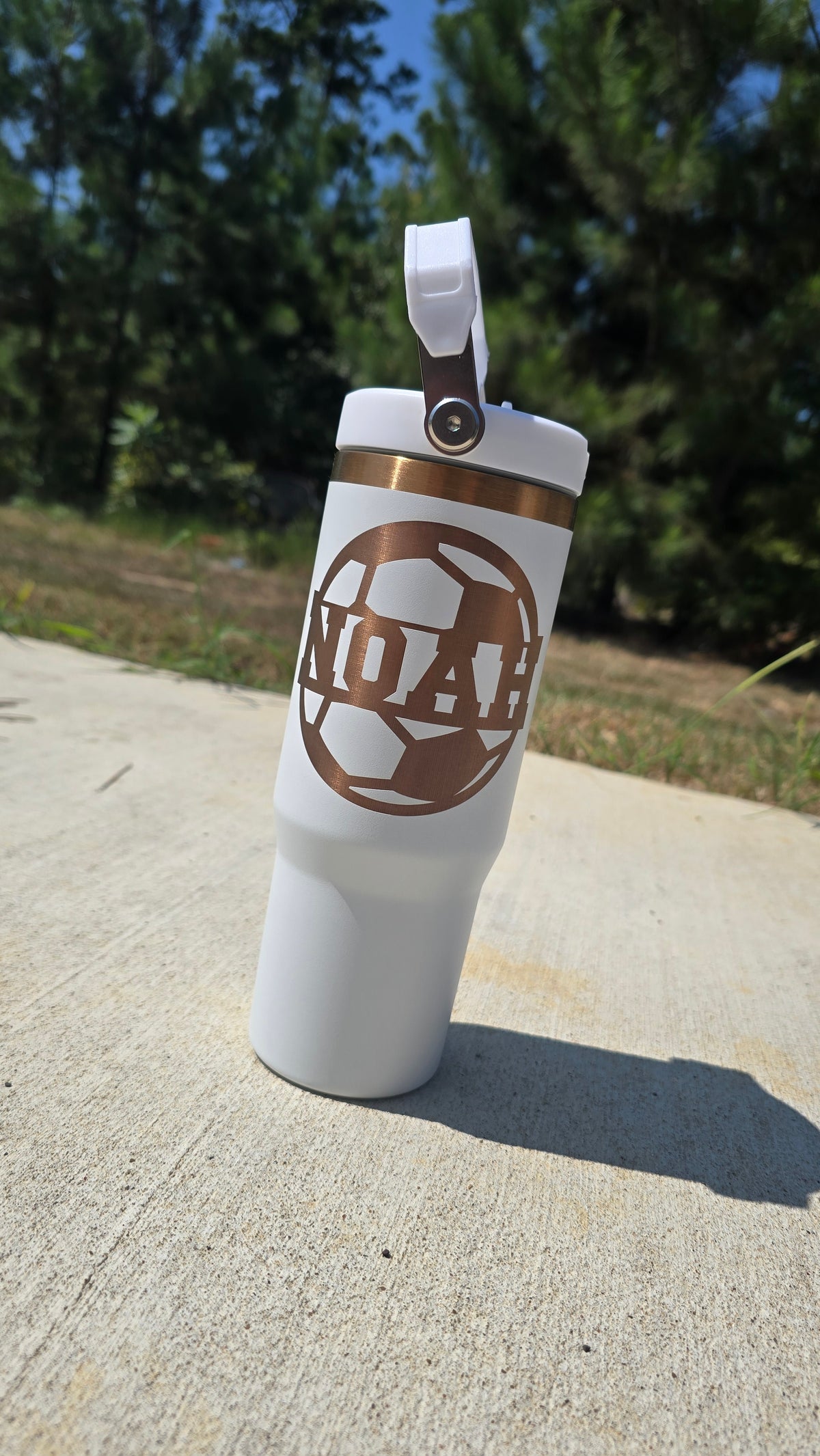 Golden Plate 30oz Tumblers With Straw