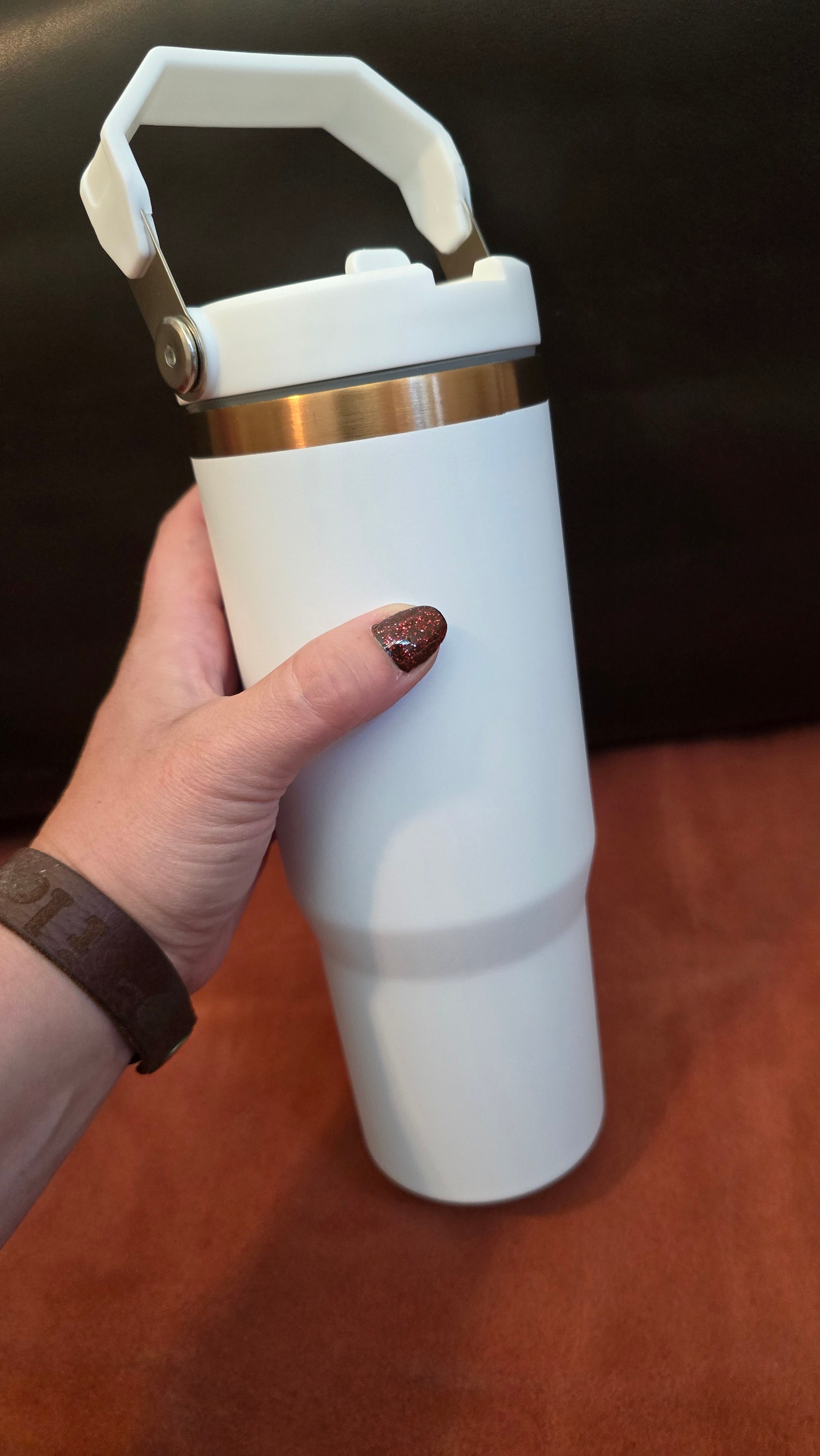 Golden Plate 30oz Tumblers With Straw