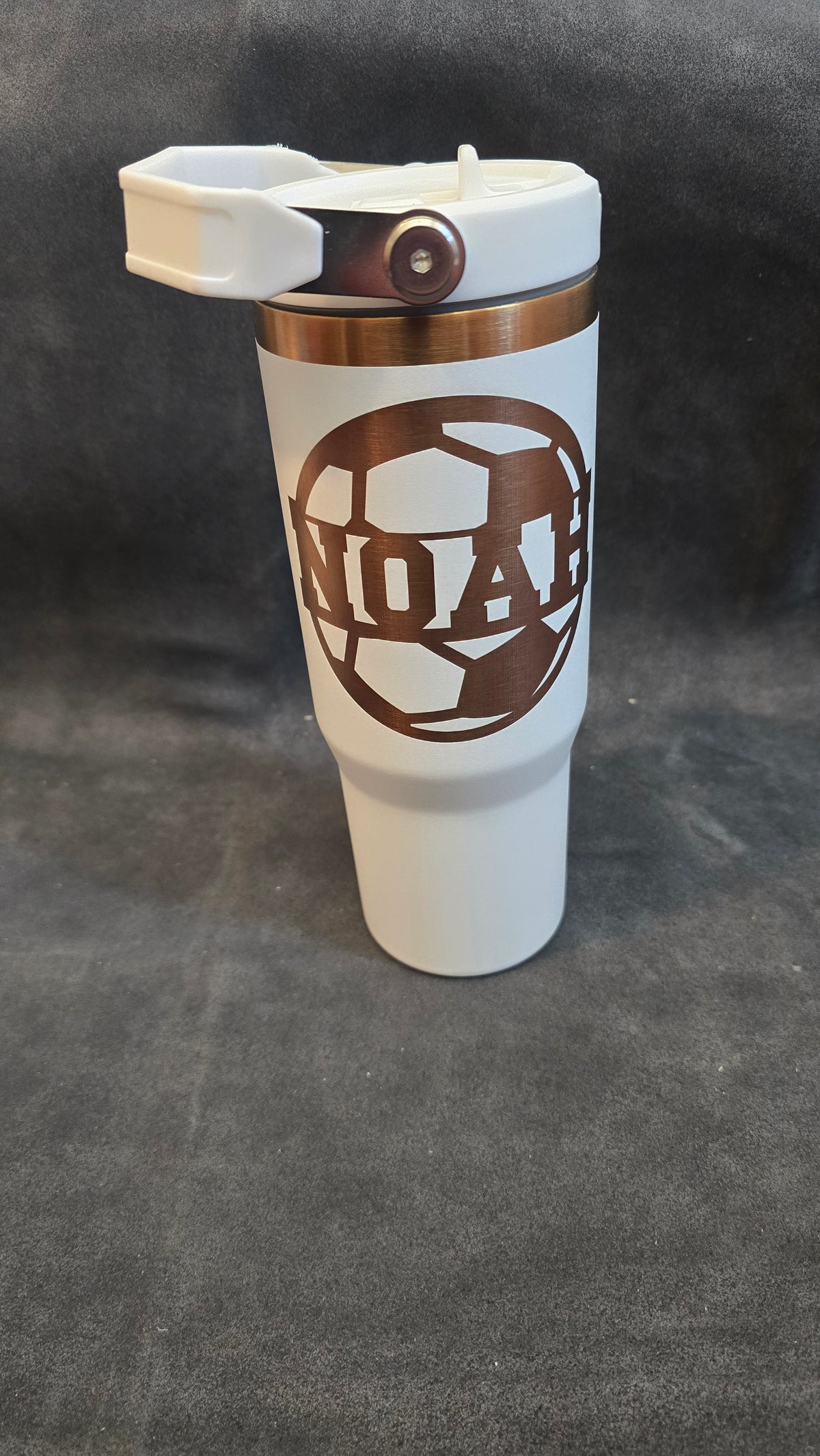 Golden Plate 30oz Tumblers With Straw
